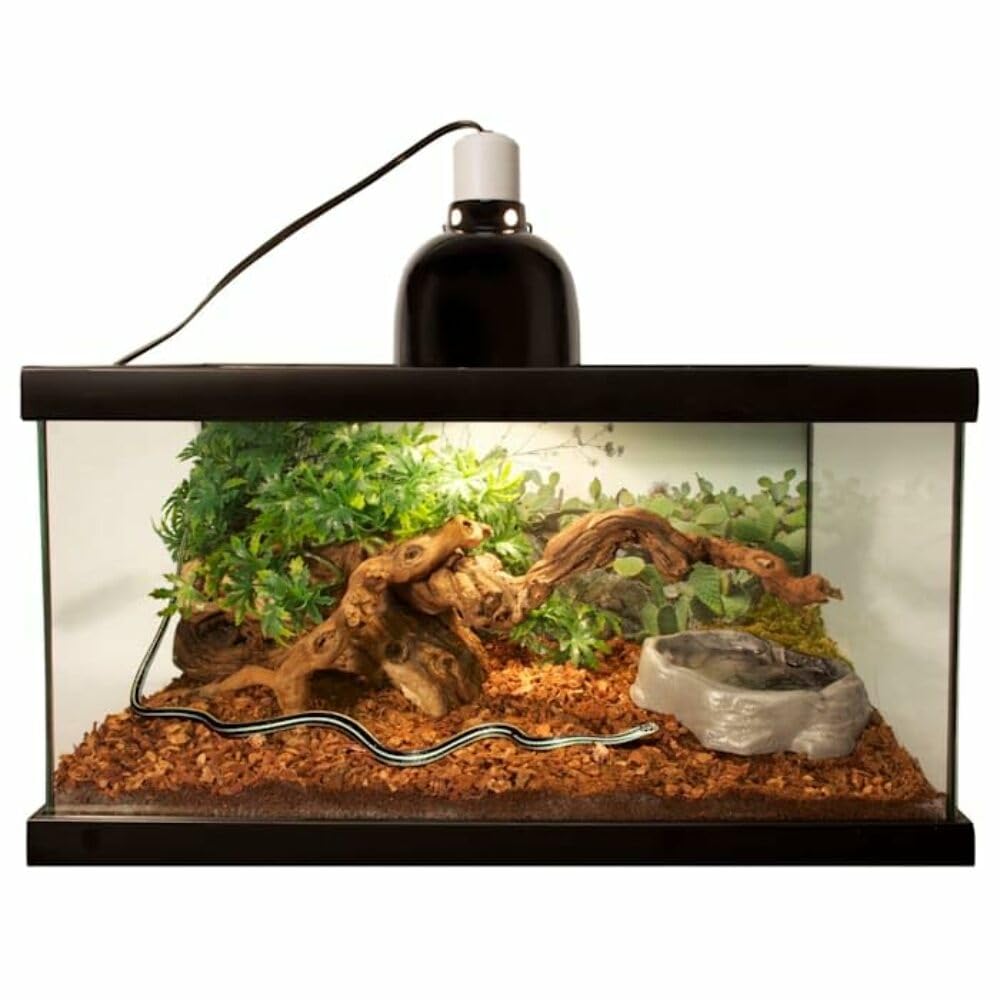 Zoo Med Repti Bark amenagement terrarium facile d'entretien pour reptiles humides