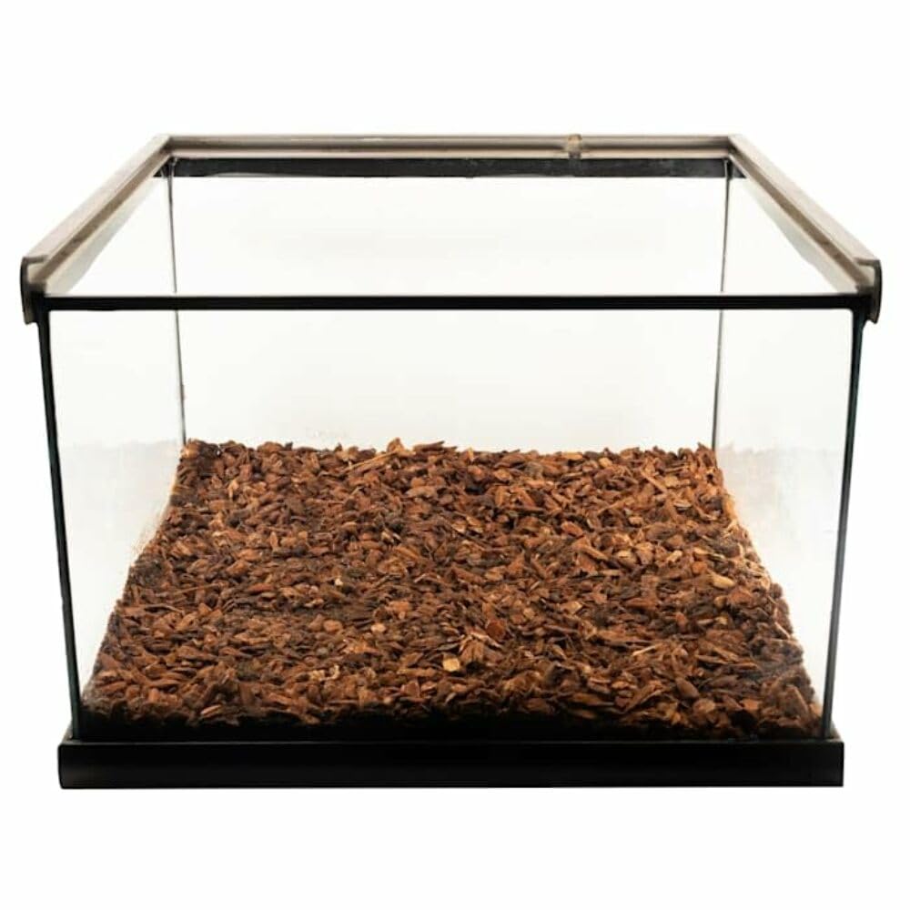 Zoo Med Repti Bark bonus-sac substrat pratique pour terrarium