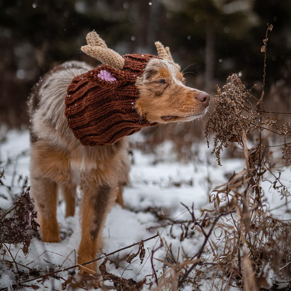 Zoo Snoods taille-large renne-chien-tricot, idéal pour grands chiens