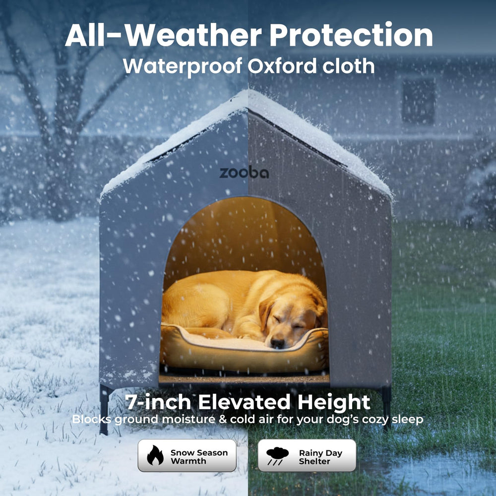 Zooba espace spacieux pour grands chiens, liberté de mouvement.