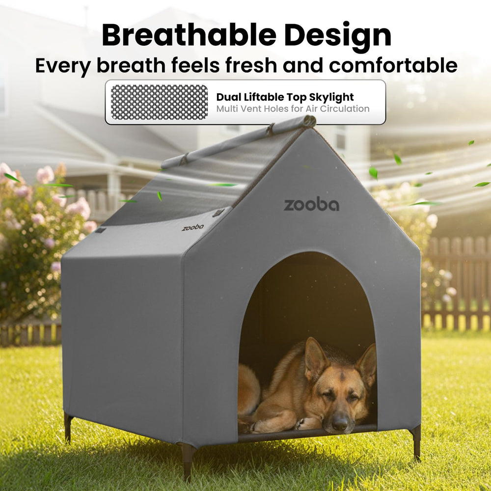 Zooba ma maison chien grand interieur, espace intérieur spacieux pour votre chien.