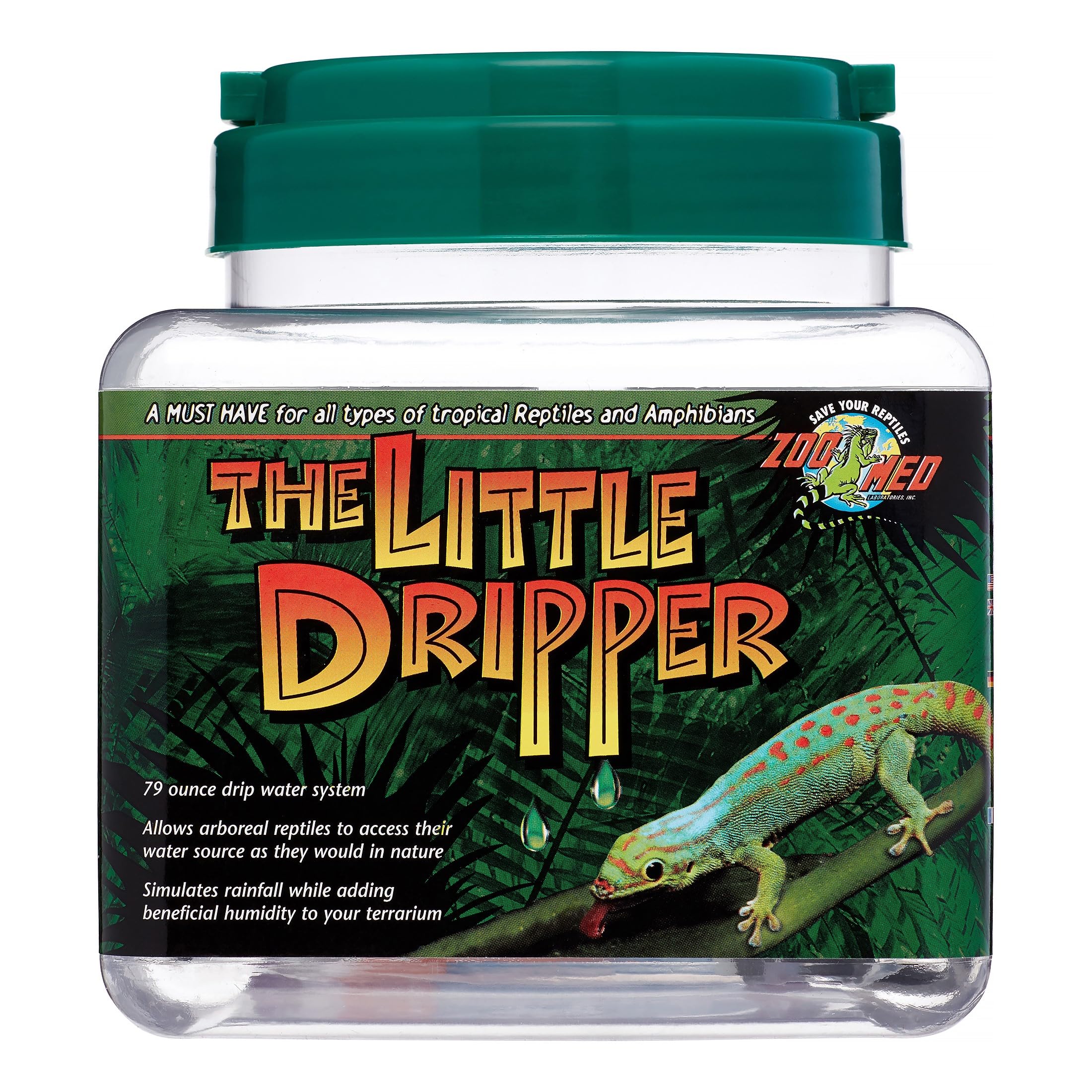 Zoomed Little Dripper, gouttes sur feuille favorisant l'hydratation du terrarium