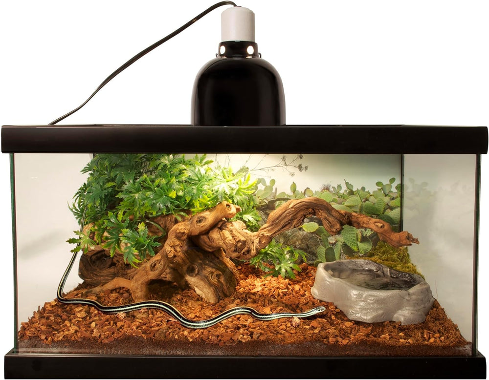Enclos plus propres et frais grâce au substrat naturel.