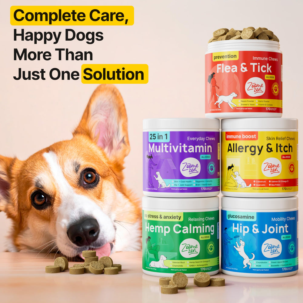 Zoomezen anti demangeaisons pour chien, aide à apaiser les irritations.