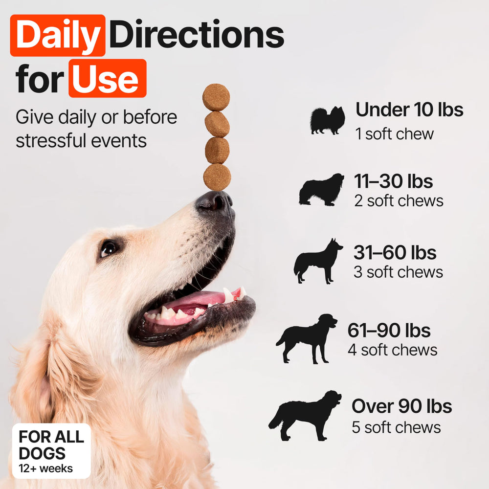 ZOOMEZEN Gommes Allergie Chien – flacon-dose pratique.