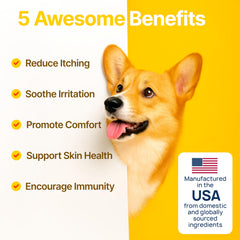 ZOOMEZEN Gommes Allergie Chien – texture-molle pour une administration facile.