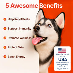 Zoomezen pour poil brillant et peau saine des chiens.
