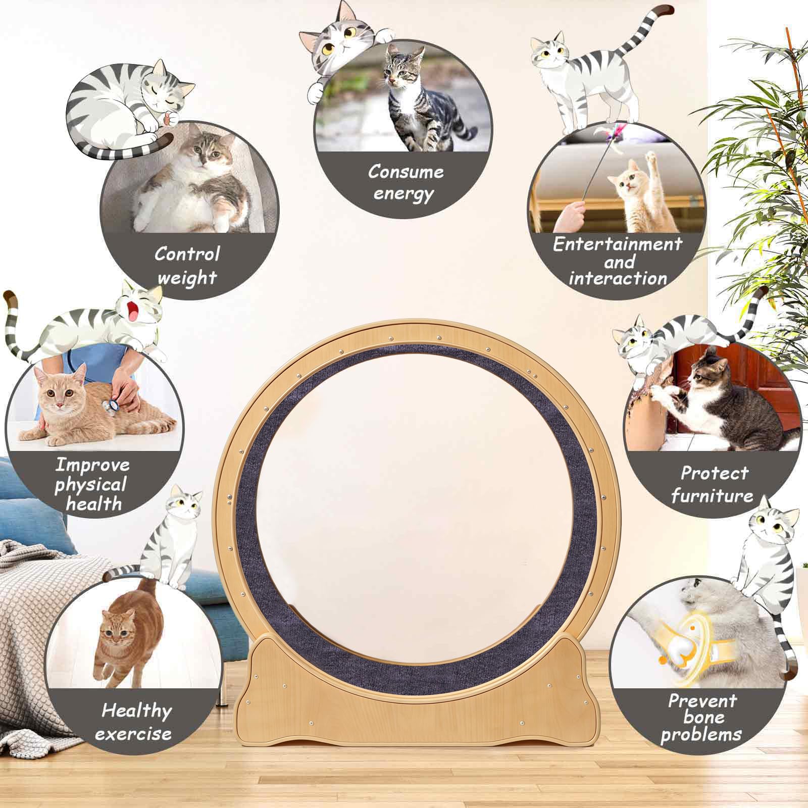 ZooVibe roue chat silencieuse pendant les séances nocturnes sans nuisance sonore.