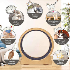 ZooVibe roue chat silencieuse pendant les séances nocturnes sans nuisance sonore.