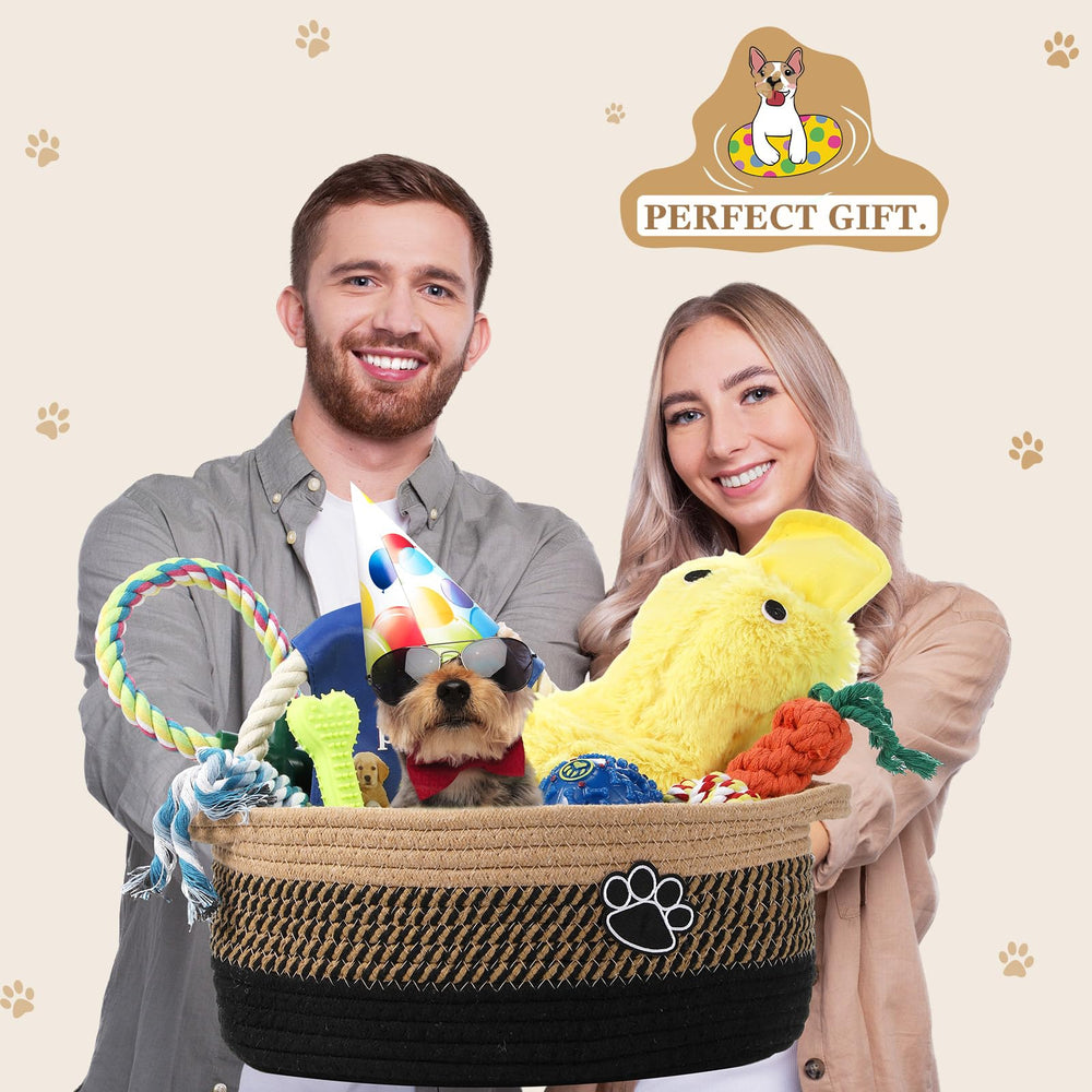 Ensemble jouets chien Zopeal, variété et rangement coordonné.