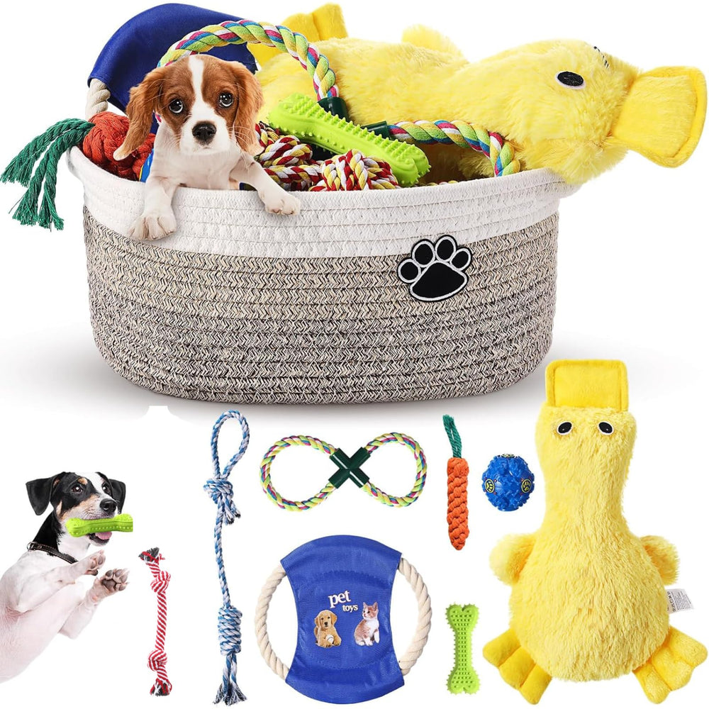 Panier Zopeal pour ranger les jouets du chien, organisation pratique.