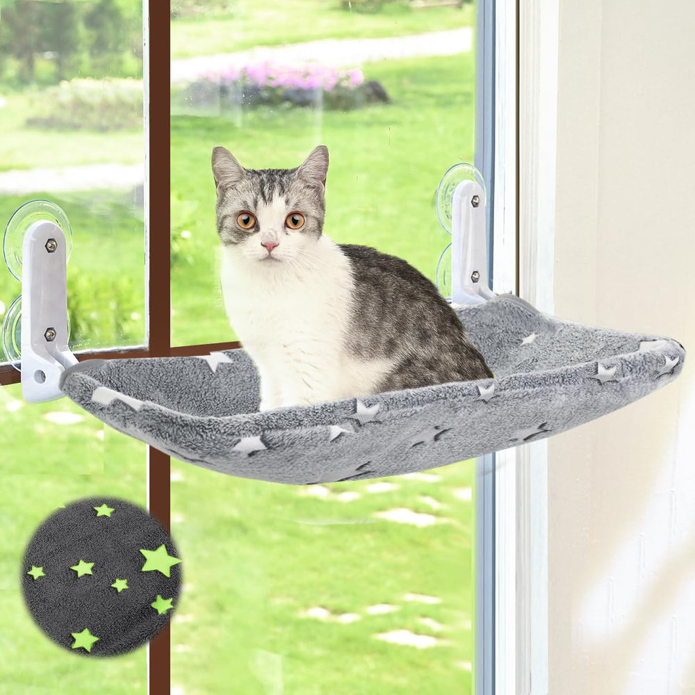 Zoratoo chat perchoir fenetre lumiere nocturne offre un repos lumineux la nuit