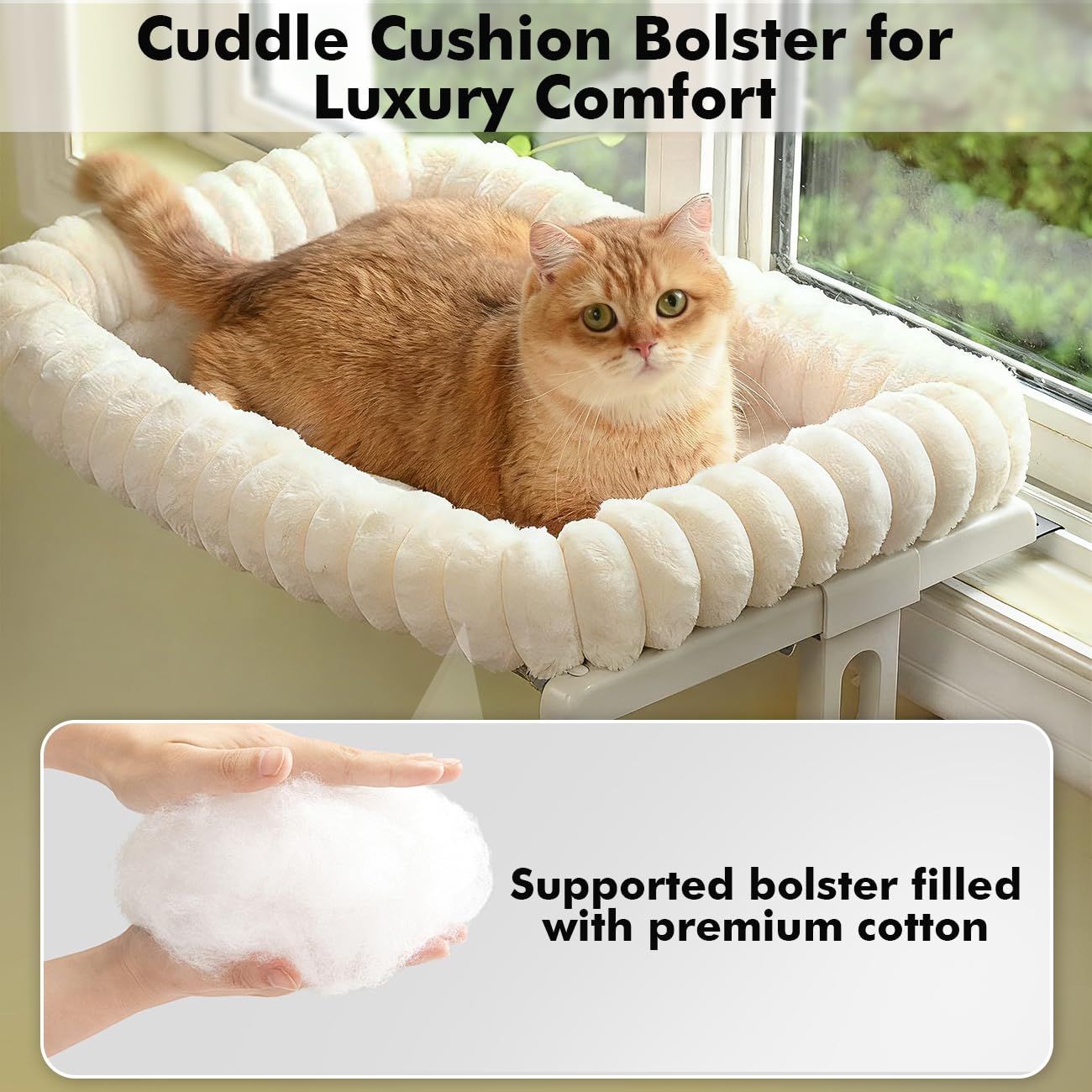 Zoratoo Cloud-Cuddle capacité de 30 lb adaptée à divers chats.