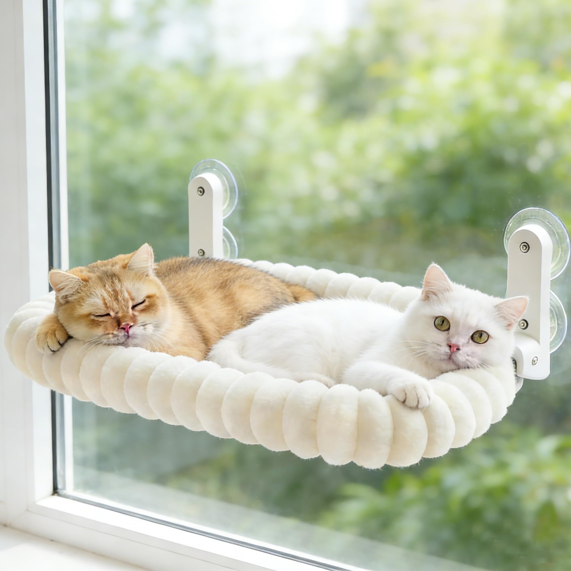 Perchoir Zoratoo pour fenêtre avec coussin rembourré, confort optimal.