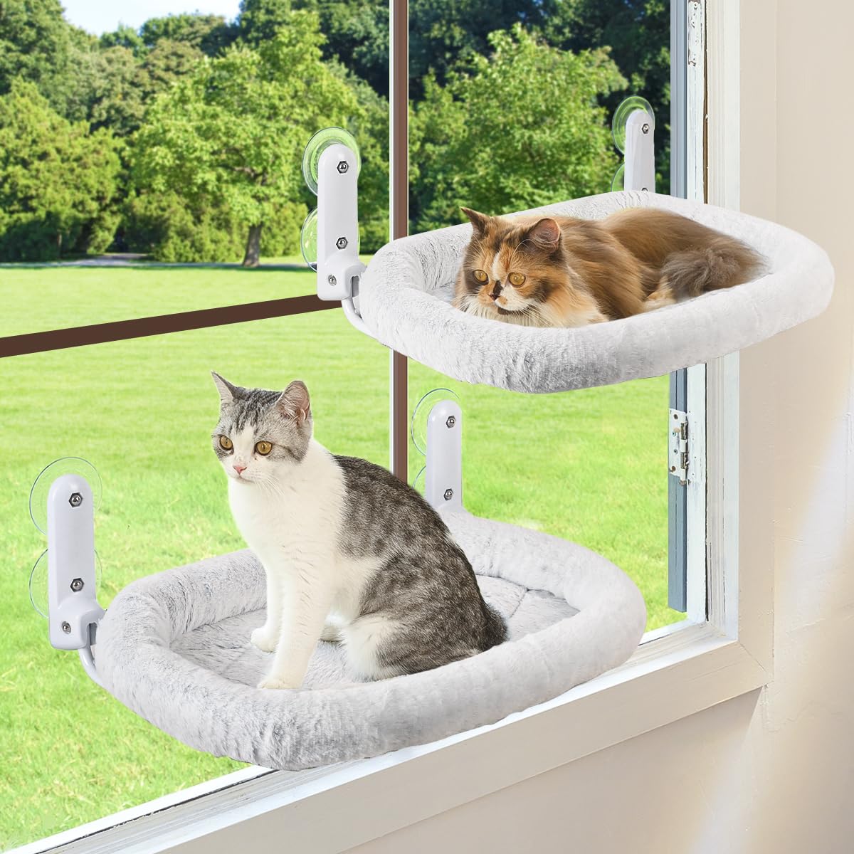 Zoratoo perchoir fenêtre chat coussin pliable offrant repos et vue.
