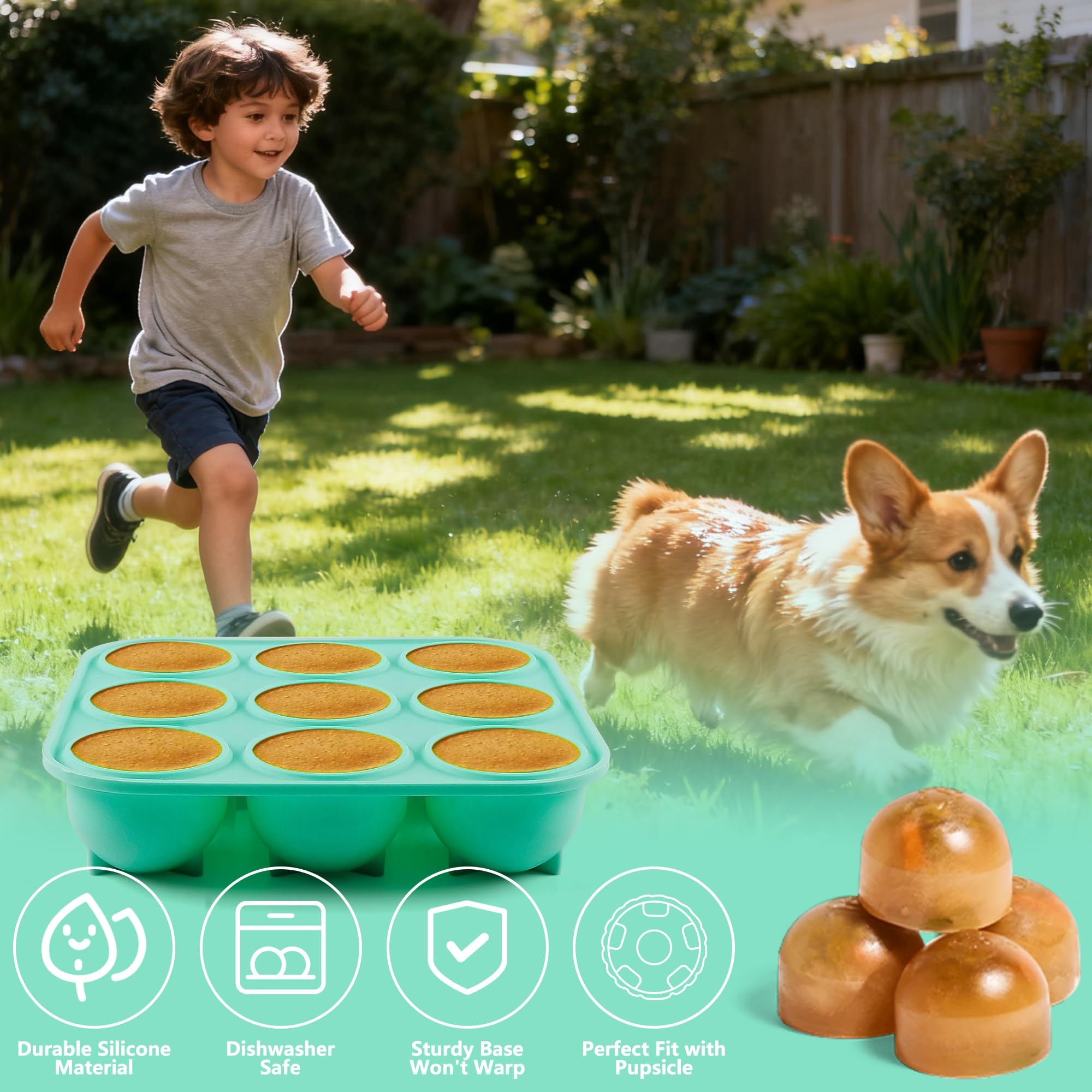 Rangement pratique des friandises congelées avec Zorazio et son couvercle