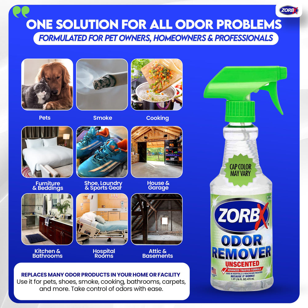 ZORBX dans le salon pour neutraliser les odeurs domestiques sans parfum.