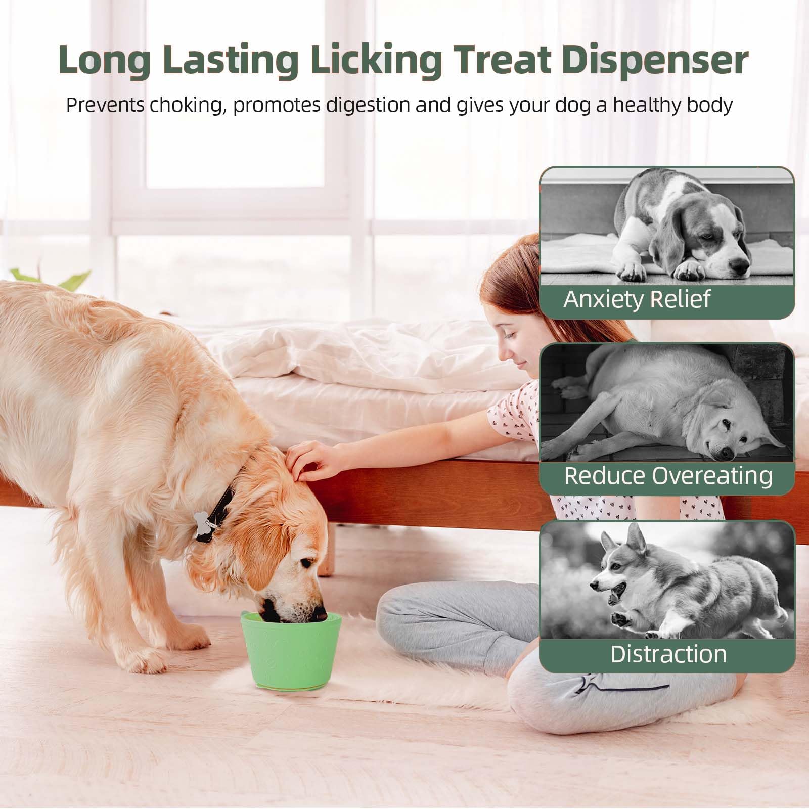 Usage quotidien ZOURYNUA – convient pour chiens de toutes tailles.