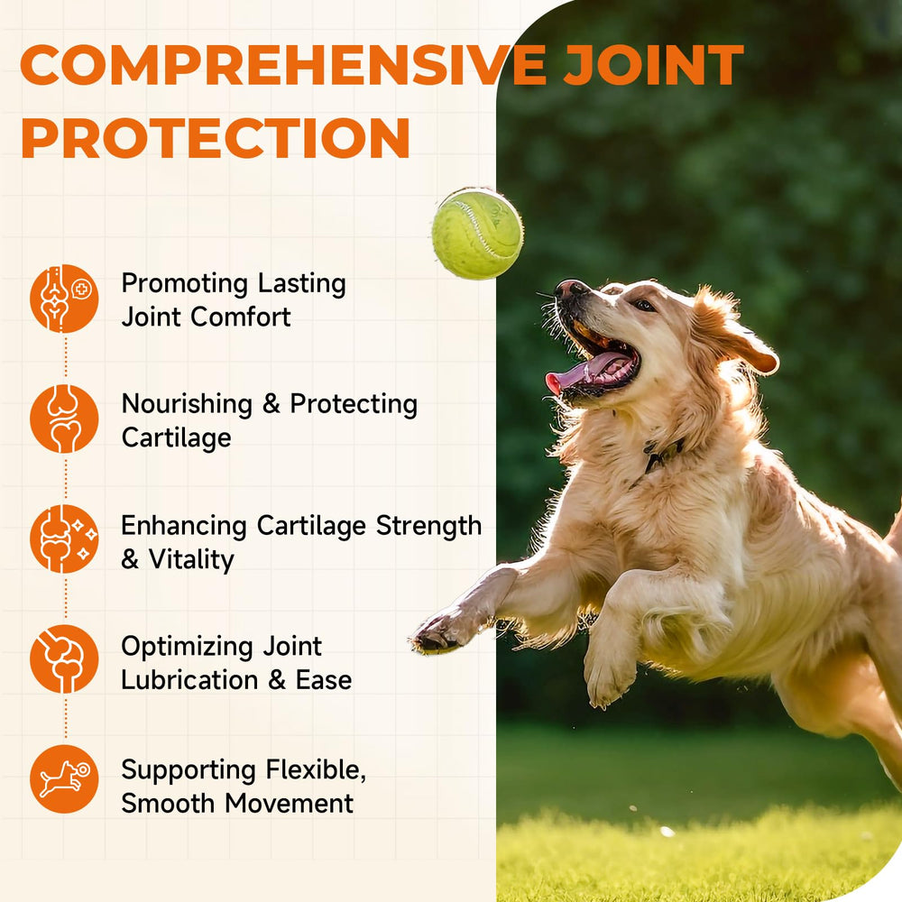 Gommes Zozdal 180 friandises, solution durable pour chien.