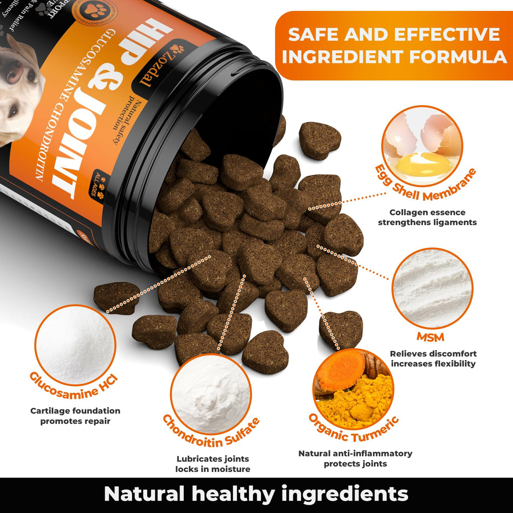 Étiquette Zozdal montrant les ingrédients glucosamine, chondroïtine, MSM et curcuma.