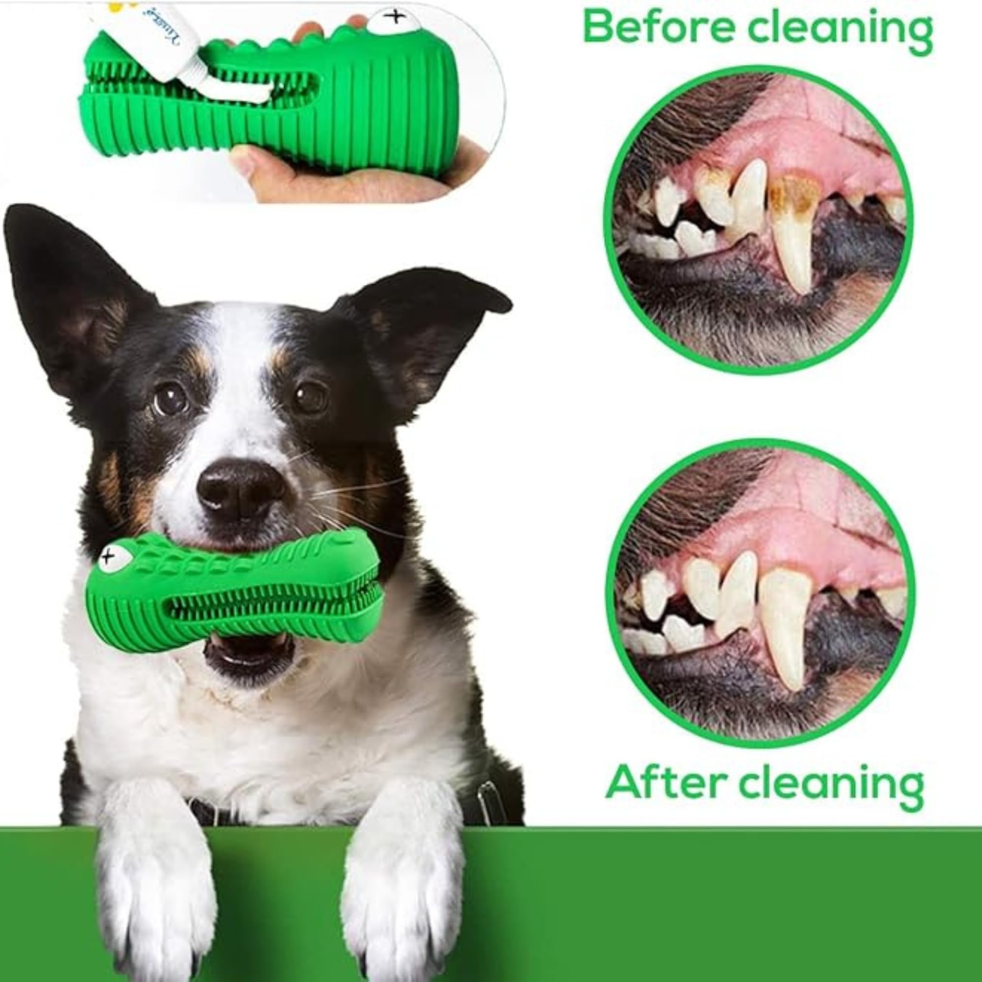 ZP-PY Alligator — emplacement dents pour dentifrice ou beurre.