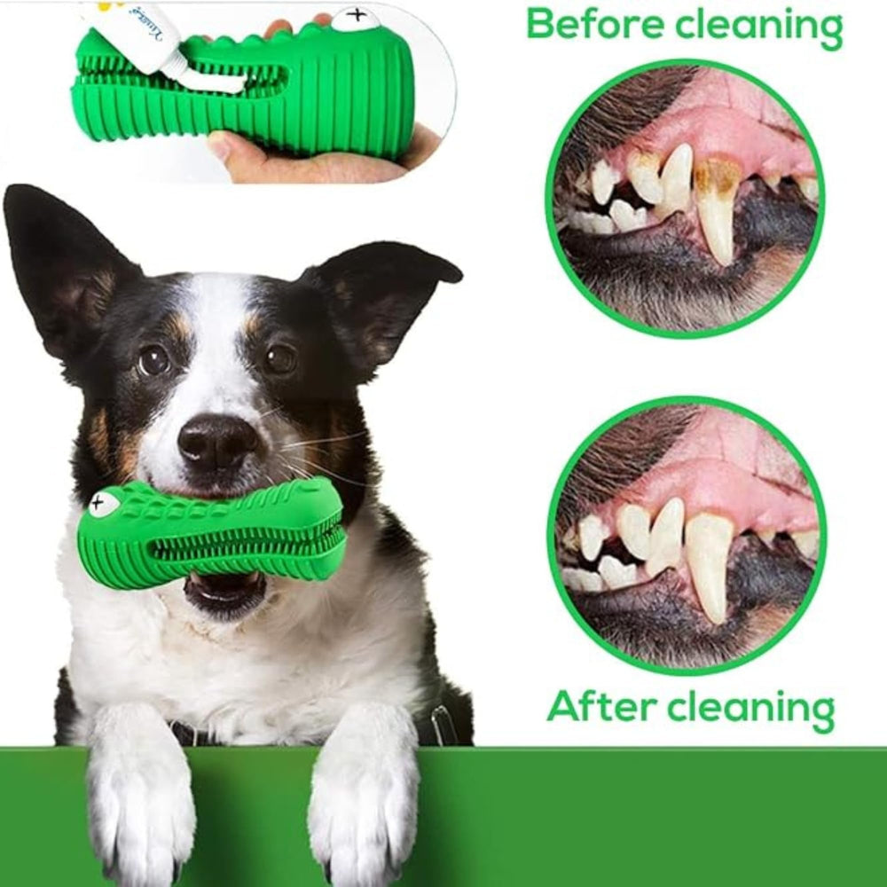 ZP-PY Alligator — emplacement dents pour dentifrice ou beurre.