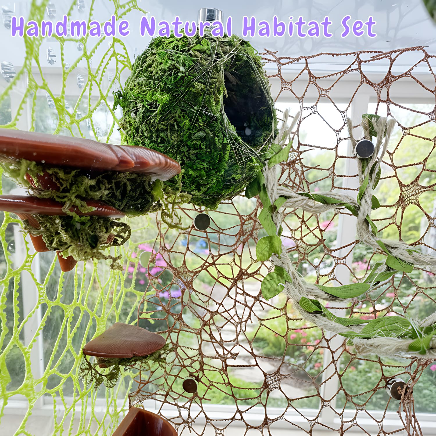 ZREVSB ensemble-deco-terarium : décor naturel pour terrarium attrayant et équilibré.