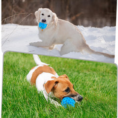 ZRIFAQESW Balle-arome-boeuf-attire: attire l’attention du chien pendant le jeu