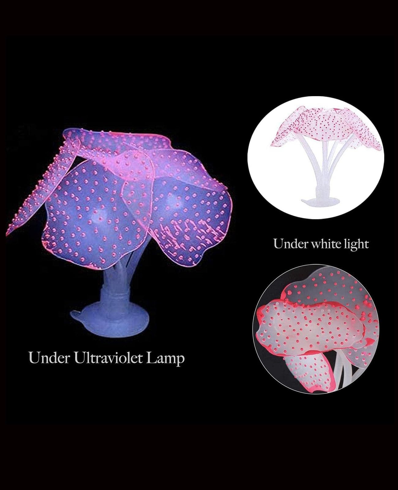 ZtohPyo corail-horn lumineux, effet décoratif sans danger pour les poissons.