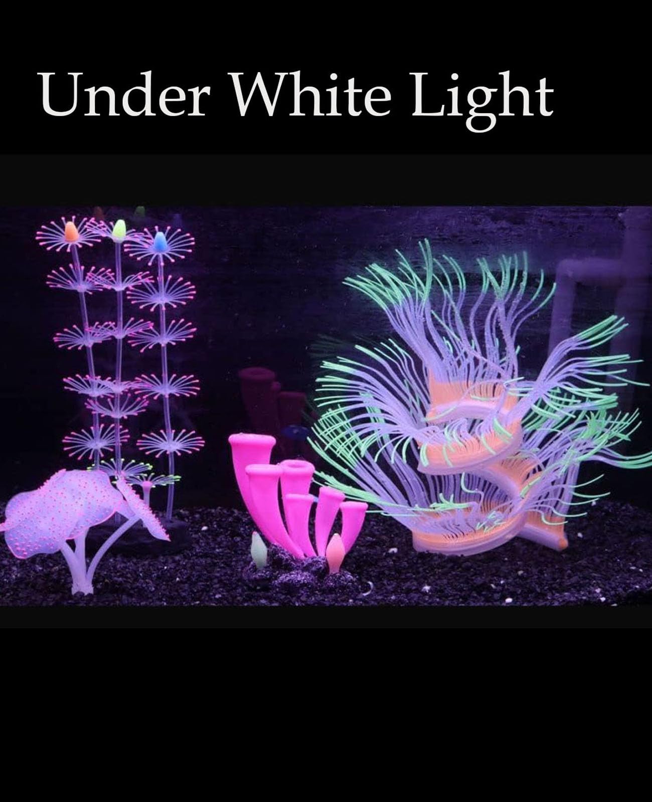 ZtohPyo corail-horn lumineux, complément décoratif sûr pour poissons.