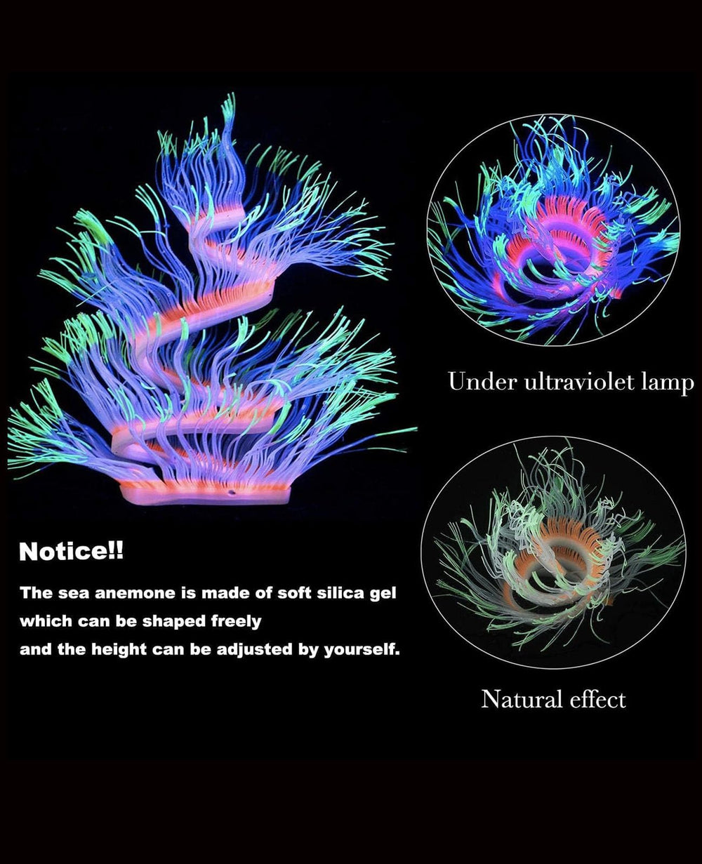 ZtohPyo corail-plume lumineux, mouvement doux sous l'eau.