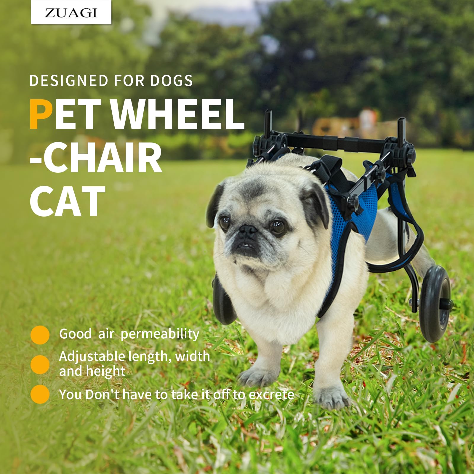 Zuagi chien en fauteuil roulant pattes arrières en action, soutien et mobilité.