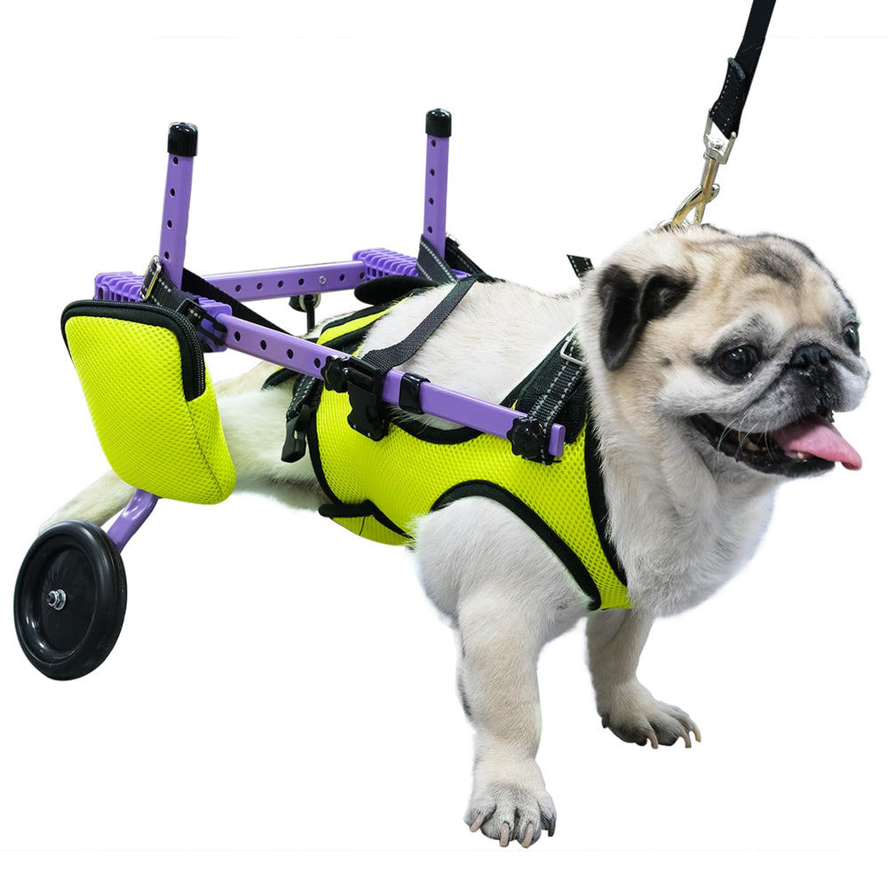 Zuagi-fauteuil-chien-pattes-arrieres, cadre leger offrant un soutien stable et durable.