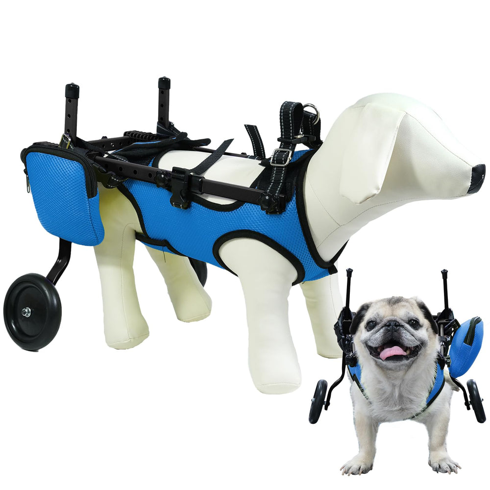 Zuagi fauteuil pour chat pattes arrières: soutien stable pour les promenades quotidiennes du compagnon.