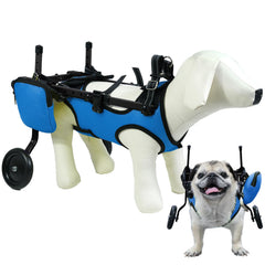 Zuagi fauteuil pour chat pattes arrières: soutien stable pour les promenades quotidiennes du compagnon.