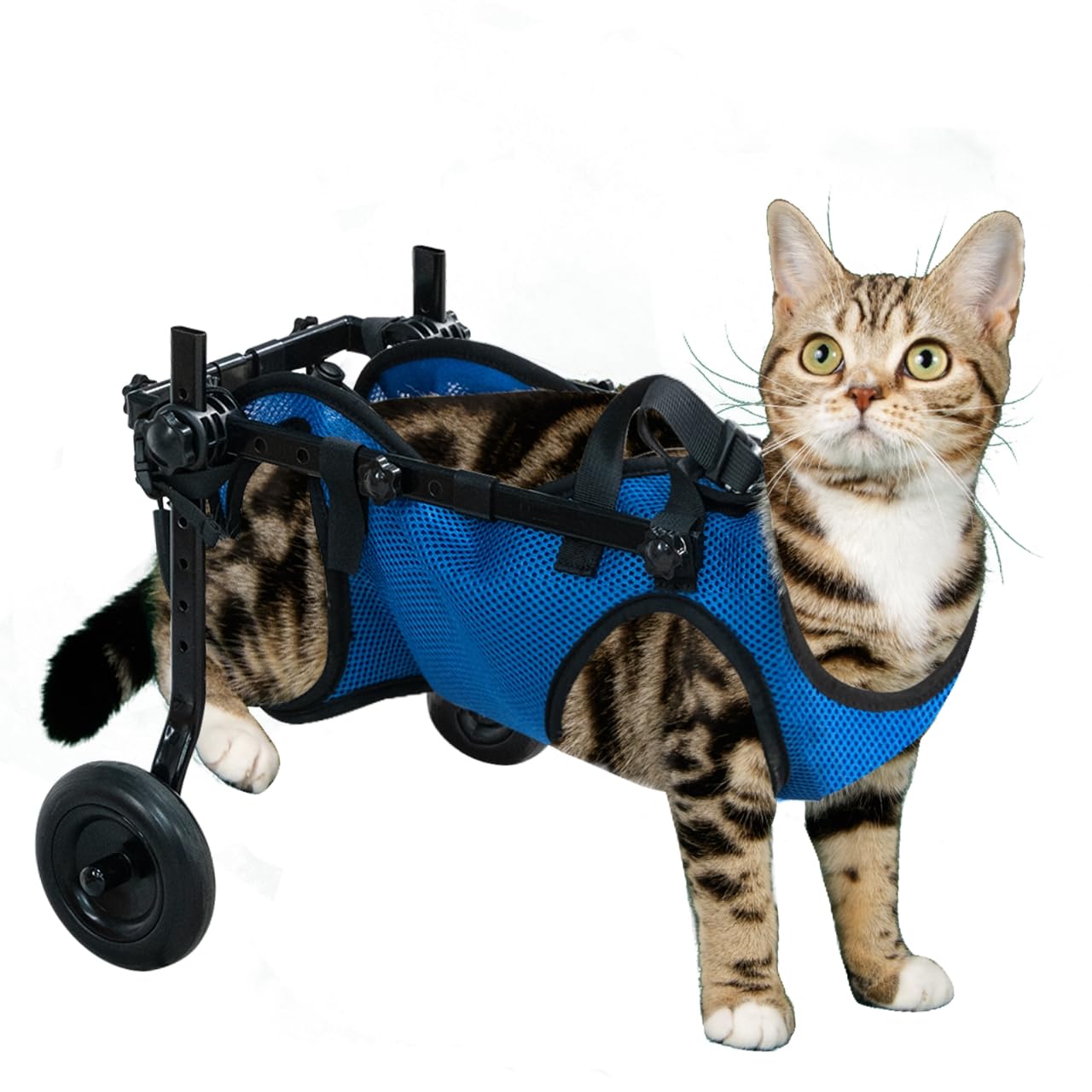 Zuagi fauteuil roulant chien cadre aluminium, soutien fiable et durable en déplacement.