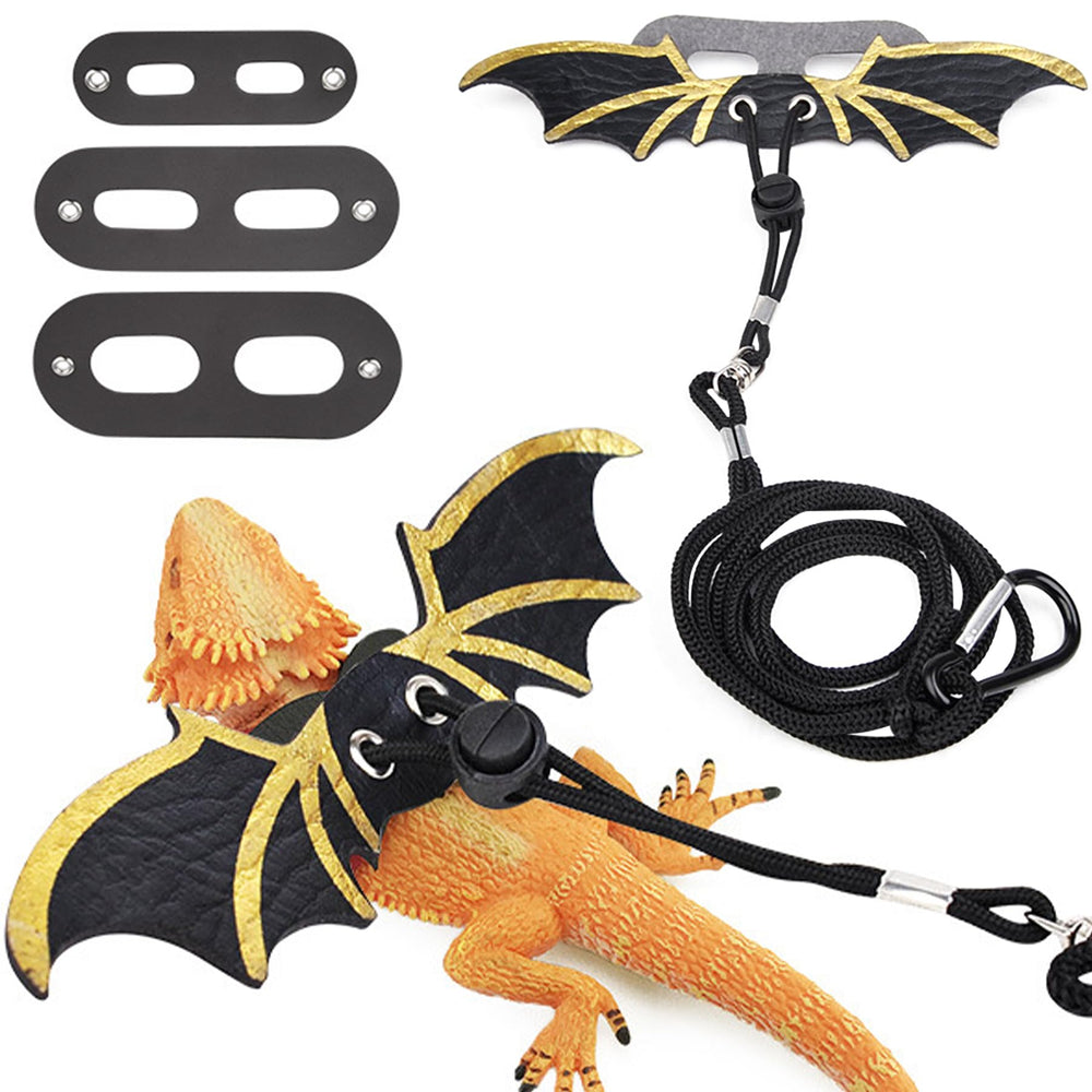 Harnais ZukoCert dragon barbu noir, taille petite, confort durant les balades.