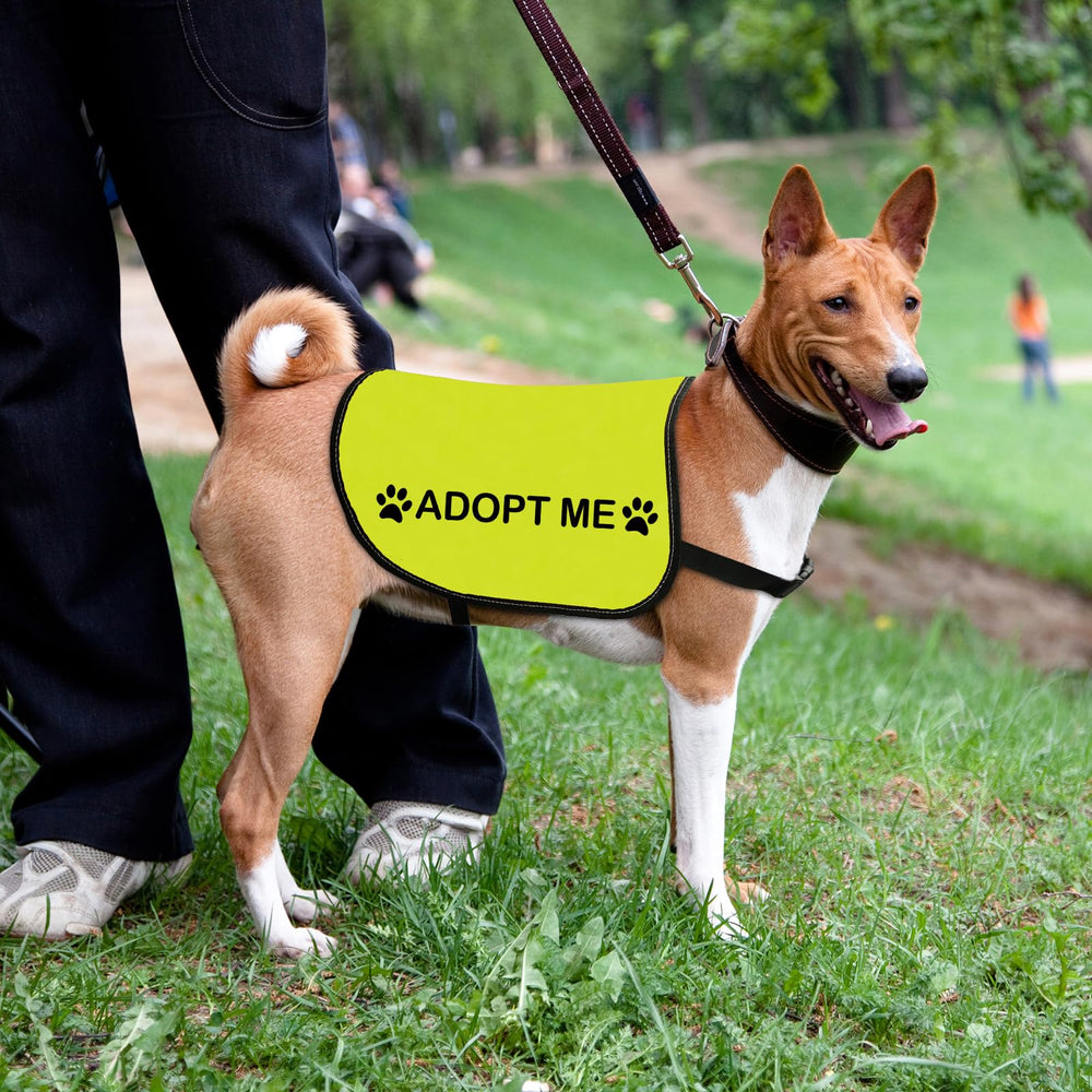 Veste pour chien Zuo Bao, sangles ajustables pour un ajustement parfait.