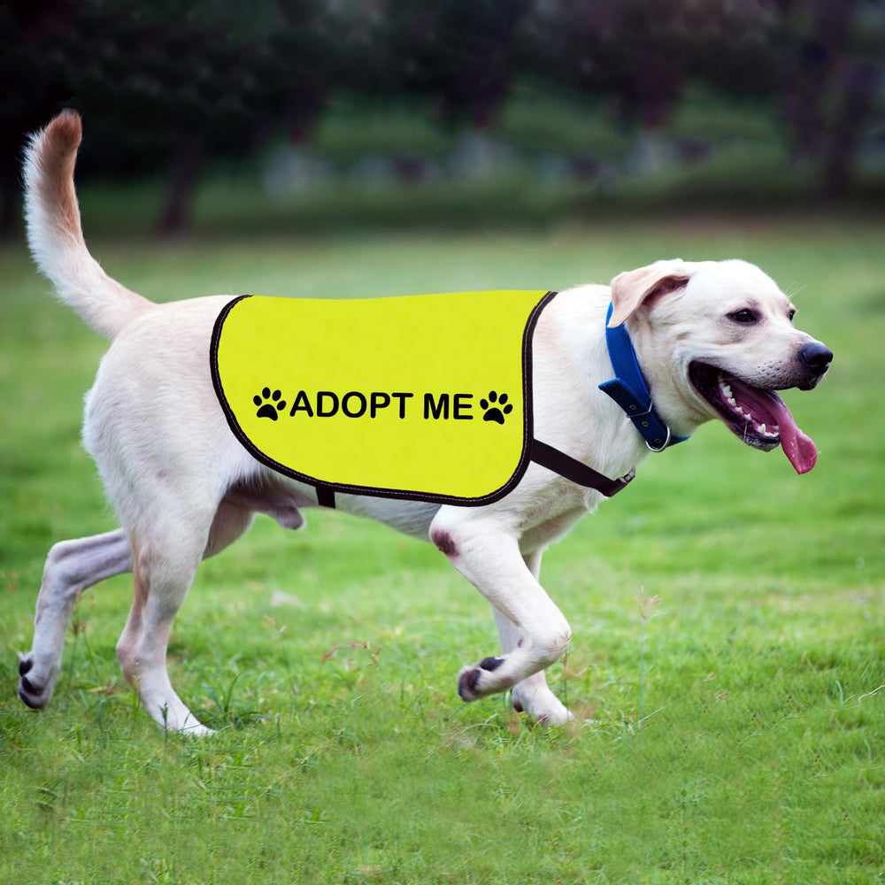 Veste chien Zuo Bao, tissu composite durable et confortable.