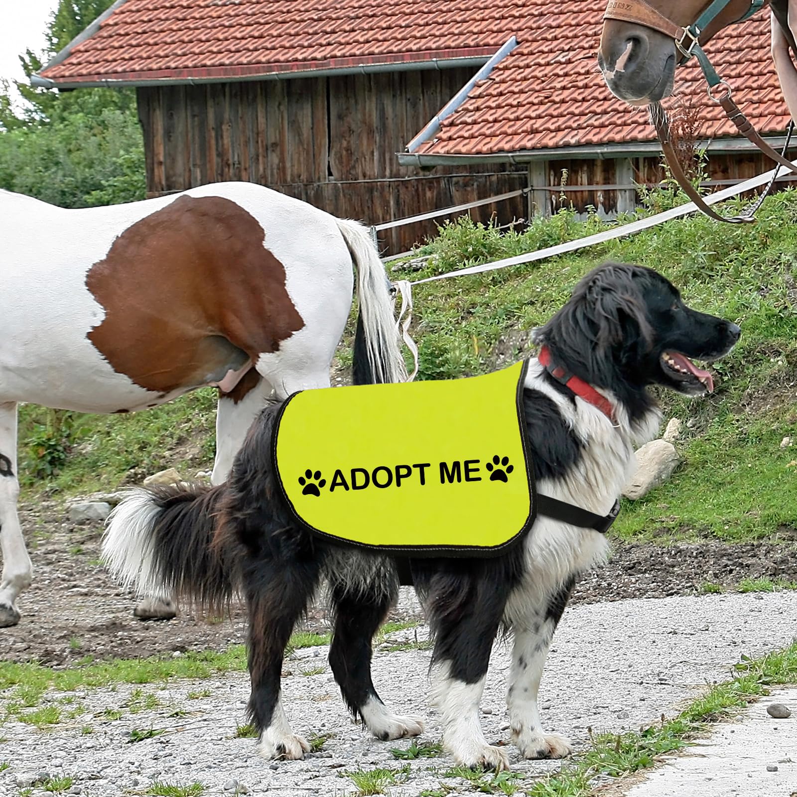 Veste sauvetage Zuo Bao, signal visuel pour interactions en public.