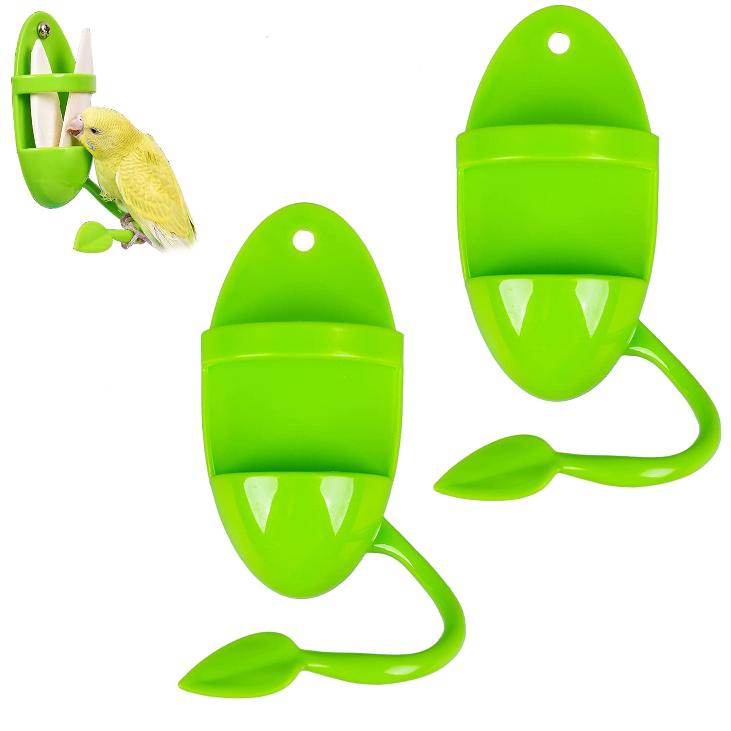 ZUOFANG porte-os de seiche vert: duo pratique pour nourrir vos oiseaux