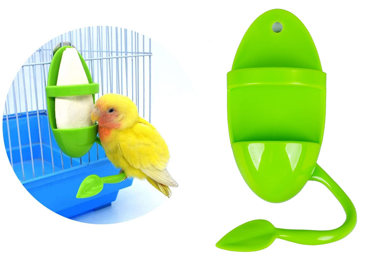ZUOFANG perchoir-os-seiche: design simple et durable pour l'usage quotidien