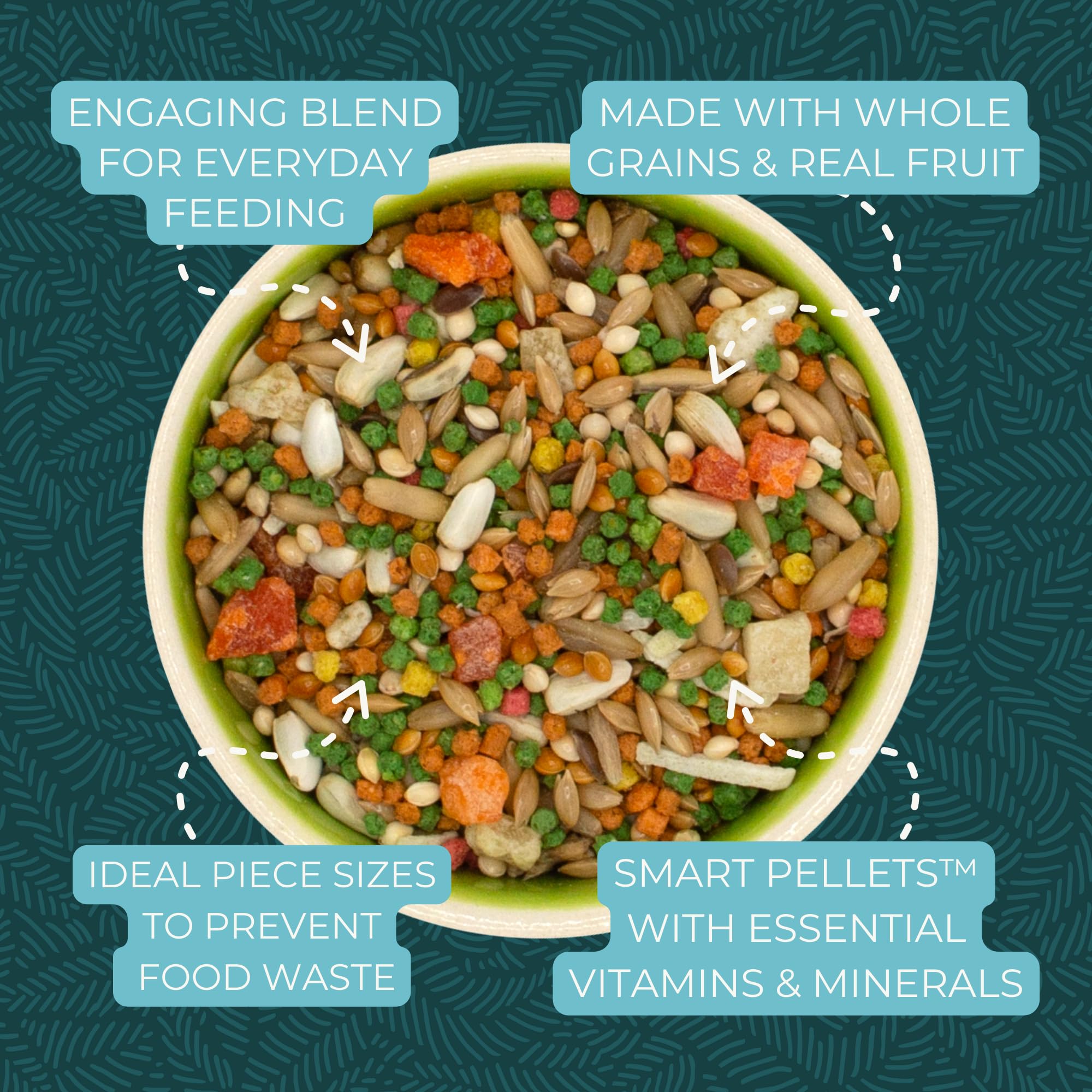ZuPreem – mise en place d’une alimentation équilibrée pour petits oiseaux.