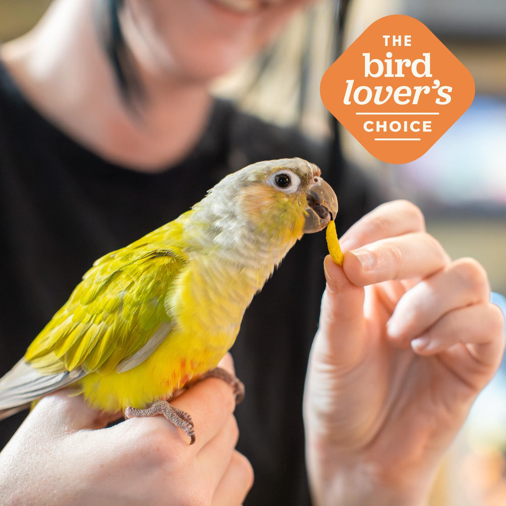 ZuPreem FruitBlend boulettes près d'un oiseau mangeant, alimentation équilibrée possible.