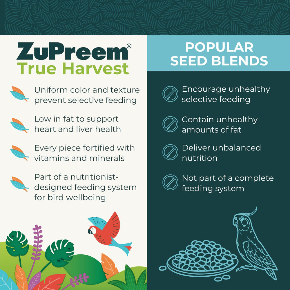 ZuPreem True Harvest, granules-gris-africains: aide à maintenir plumage et vitalité.