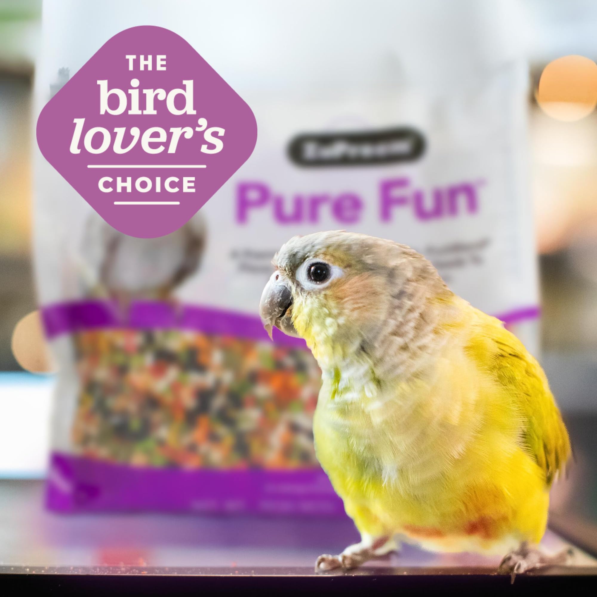 ZuPreem Pure Fun: oiseau de taille moyenne profite du complement quotidien