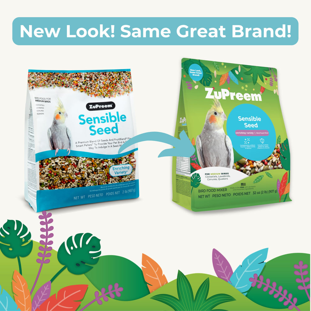 ZuPreem Sensible Seed, grains de courge pelés, variété quotidienne.