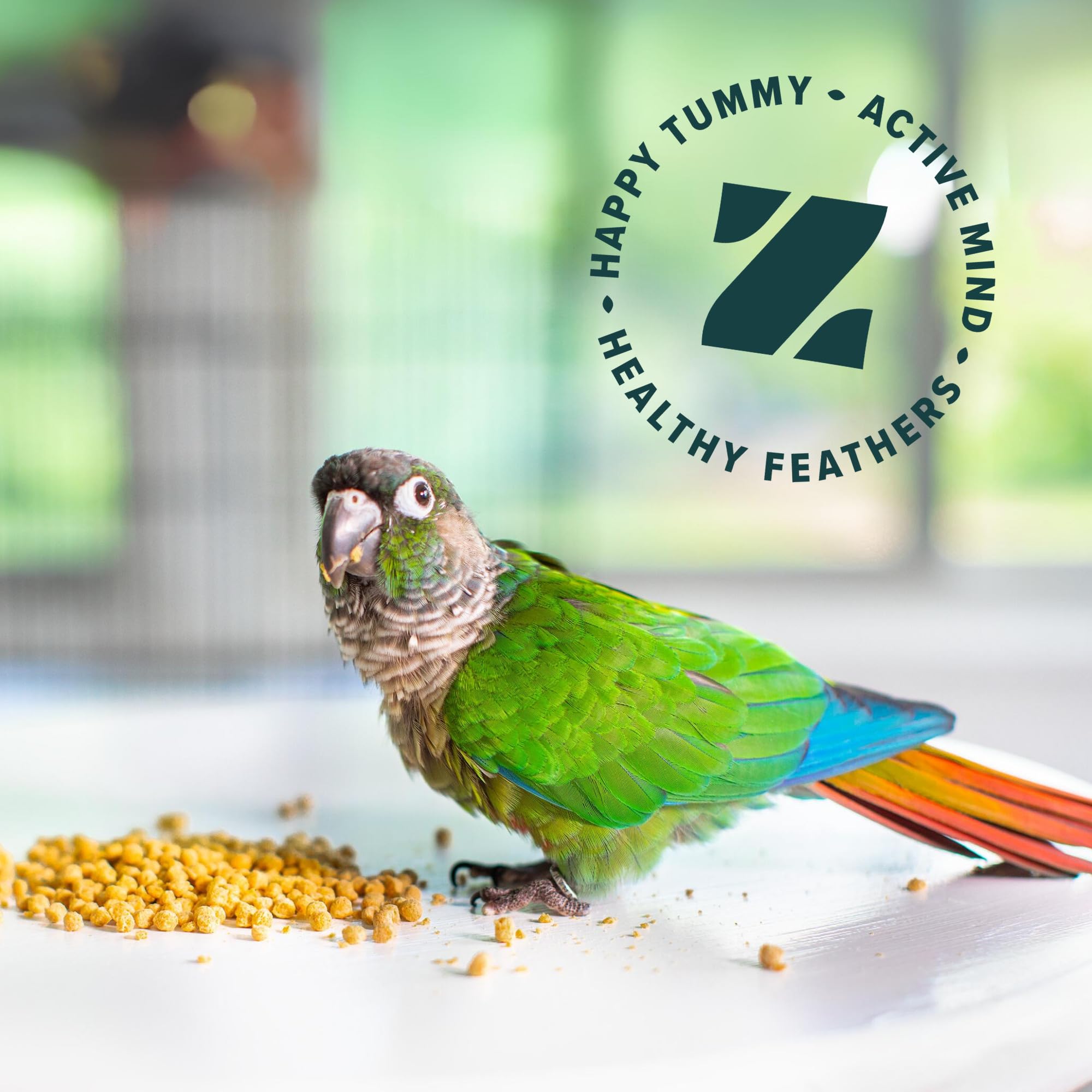 Macaw-perroquet dégustant ZuPreem True Harvest, régime équilibré pour grandes espèces.
