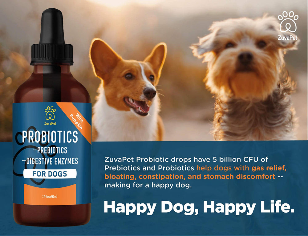 ZuvaPet Probiotiques pour chiens – potiron naturel pour digestion globale