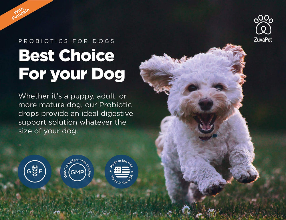 ZuvaPet Probiotiques pour chiens – 5 milliards CFU par portion pour la flore